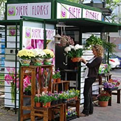 kioscoflores